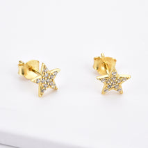 S925 Silver Moon Star Zircon Stud Earrings European And American Summer Simplicity Jewelry